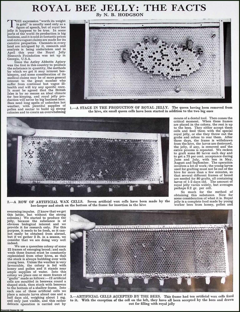 Item #519859 Royal Bee Jelly. Several pictures and accompanying text, removed from an original...