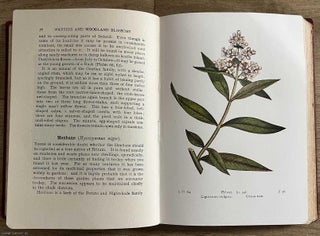 Wayside and Woodland Blossoms : A Guide to British Wild Flowers. By Edward Step.
