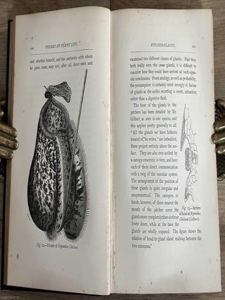 Freaks and Marvels of Plant Life ; or Curiosities of Vegetation.