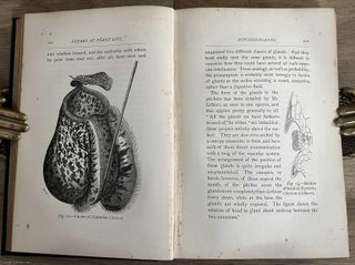 Freaks and Marvels of Plant Life ; or Curiosities of Vegetation.