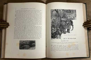Wild Aventures in Wild Places.