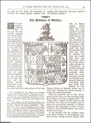 Item #607445 The Pedigree of Shelley. An original article from The Antiquary Magazine, 1881. Stated