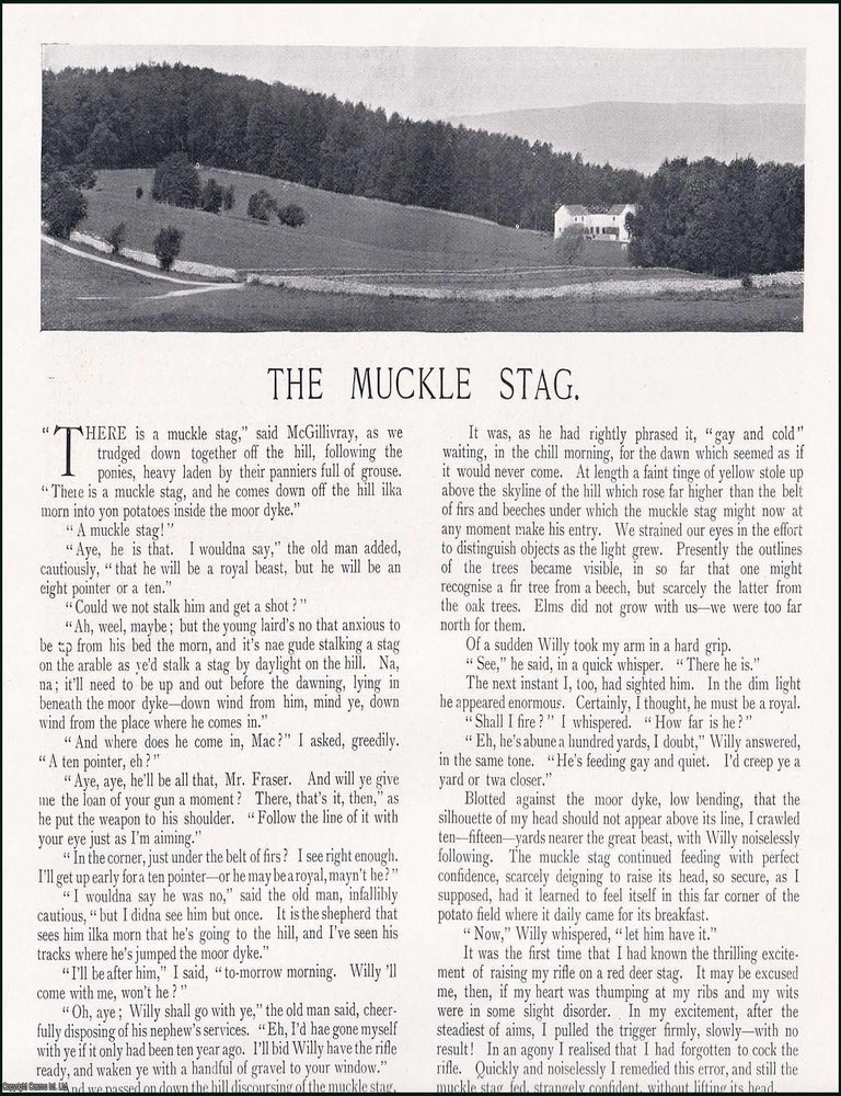 Item #609124 The Muckle Stag. Several pictures and accompanying text, removed from an original issue of Country Life Magazine, 1897. COUNTRY LIFE MAGAZINE.