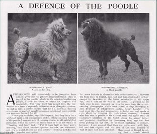 Item #609133 A Defence of The Poodle Dog. Several pictures and accompanying text, removed from an...