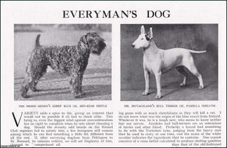Item #609147 Everyman's Dog: The Duchess of Newcastle ; Miss Rosabel Watson ; The Hon. Mrs. Angus...