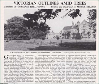 Item #609193 Victorian Outlines Amid Trees: Garden of Gwysaney Hall, Clwyd. Several pictures and...