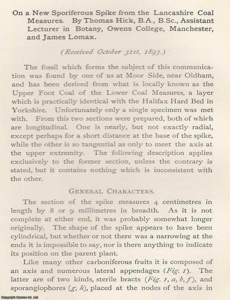 Item #615481 A New Sporiferous Spike from The Lancashire Coal Measures. An original article from...