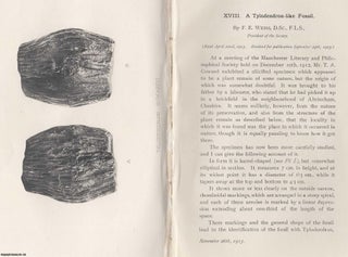 A Tylodendron-Like Fossil. An original article from the Memoirs of. F. E. Weiss.