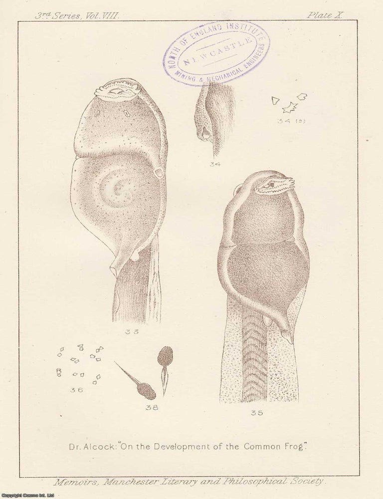 Item #615727 The Development of The Common Frog. An original article from the Memoirs of the...