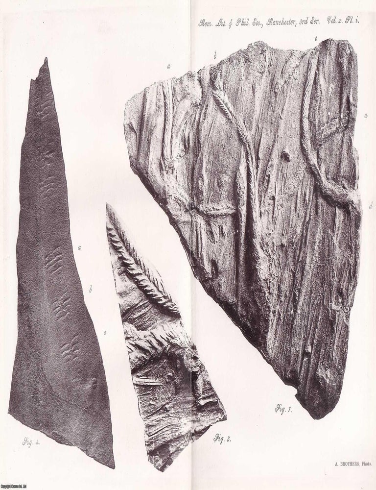 Item #615740 Some Undescribed Tracks of Invertebrate Animals from The Yoredale Rocks, and some...
