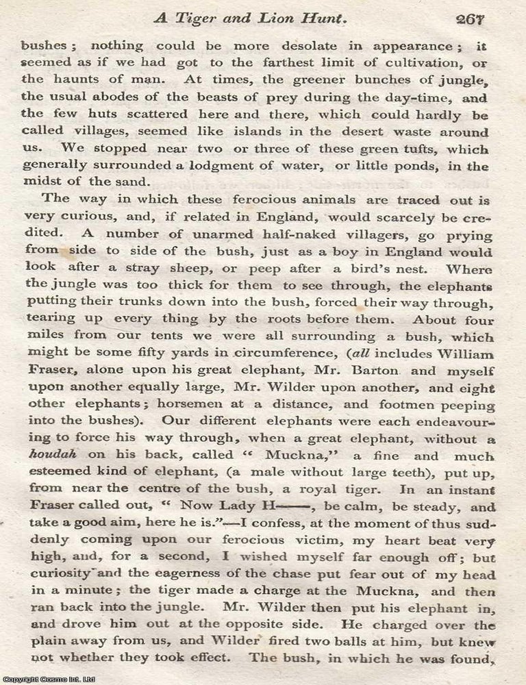 Item #616826 A Tiger and a Lion Hunt, at Sanghee, Hindostan. An uncommon original article from...
