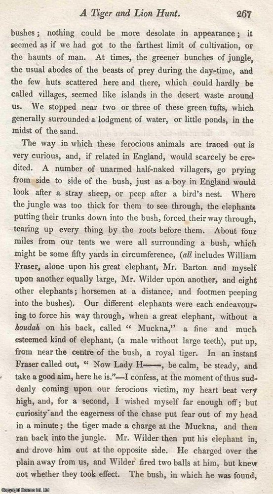 Item #616826 A Tiger and a Lion Hunt, at Sanghee, Hindostan. An uncommon original article from...