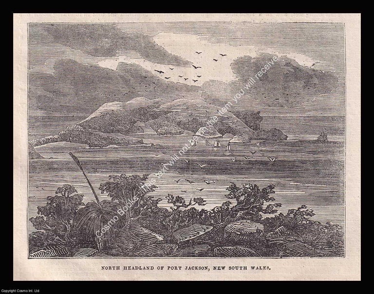 Item #639430 Australia, New South Wales, Port Jackson, North Headland. An 1836 original woodcut...