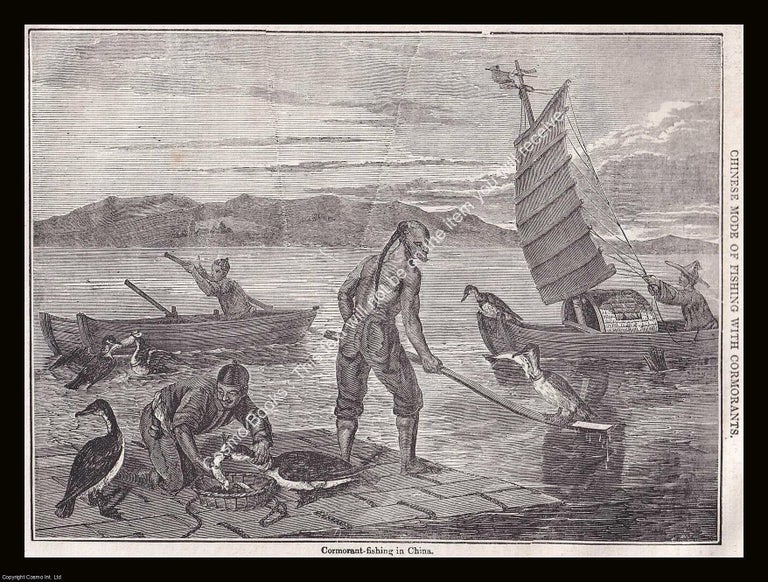 Item #639985 Cormorant Fishing in China. An 1835 original woodcut engraving. Image 15 x 20 cms,...